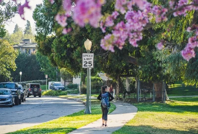 Escape the City Buzz: Unveiling the Best Road Trips from Los Angeles